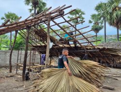 WhatsApp Image 2025-12-08 at 09.38.30